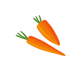 Fresh carrot illustration clipart