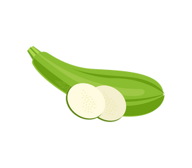 Marrow vector for free download Marrow vector for free download