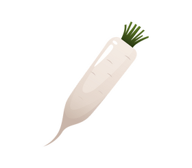 Sugar beet clipart