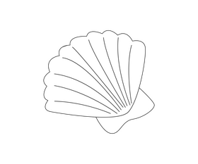 Sea shell drawing black and white clipart