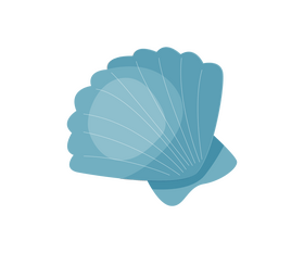 Sea shell drawing clipart