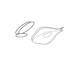 Cartoon onion slices black and white clipart