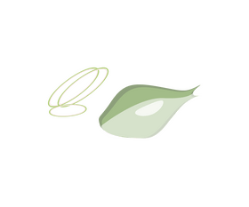Cartoon onion slices clipart
