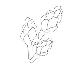 Free greens black and white clipart