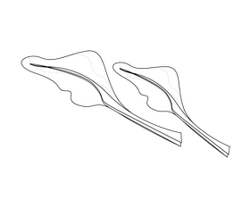Basil greens drawing black and white clipart