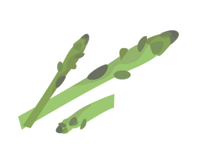 Asparagus greens illustration clipart