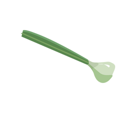 Spring onion leaves clipart