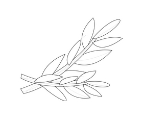 Mint leaves black and white clipart