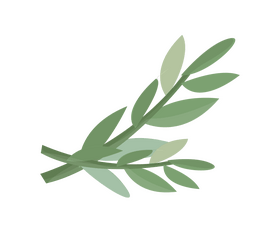Mint leaves clipart