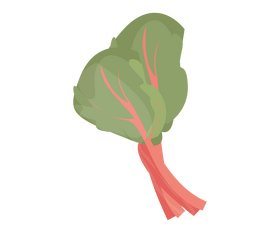 Spinach illustration clipart