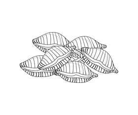Conchiglie rigate pasta black and white clipart