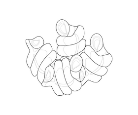 Fusilli spiral pasta black and white clipart