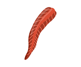 Fish fillet clipart
