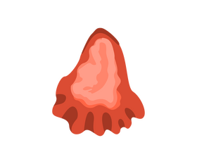 Cartoon fish meat clipart