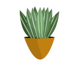 Aloe vera cactus clipart
