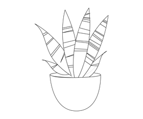 Aloe cactus cartoon black and white clipart