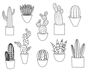 Cactus plants black and white vector