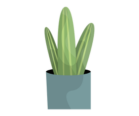 Cactus drawing clipart