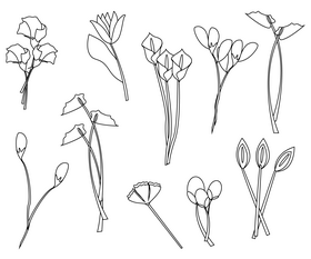 Flowers free black and white vector