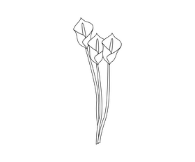 Cartoon lily flower black and white clipart