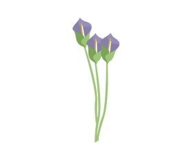 Cartoon lily flower clipart