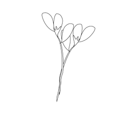 Flower drawing black and white clipart