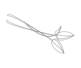 Free flower black and white clipart