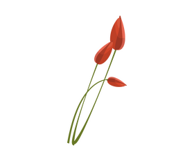 Flower free clipart