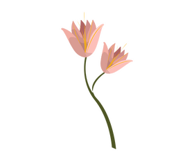Flowers clipart