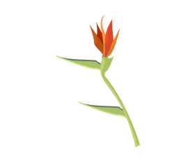 Flower cartoon clipart