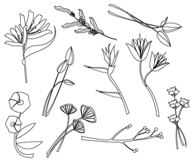 Flowers free black and white vector