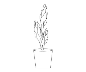 Free indoor plant black and white clipart
