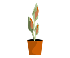 Free indoor plant clipart