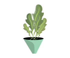 Cartoon indoor plant clipart
