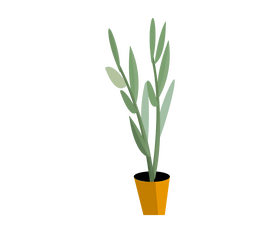 Indoor plant cartoon clipart