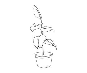 Indoor plant black and white clipart