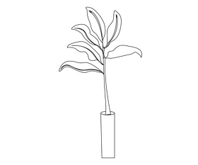 Indoor plant black and white clipart