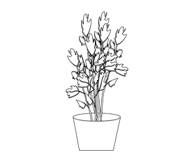 Cartoon indoor flower plant black and white clipart