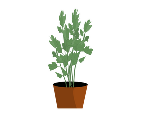 Cartoon indoor flower plant clipart