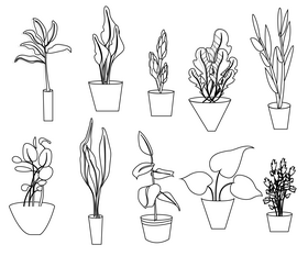 Indoor flower plants black and white vector free download