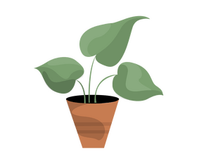 Indoor flower plant clipart
