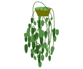 English ivy plant clipart