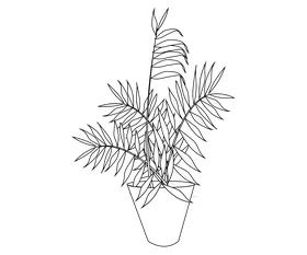 Cartoon house plant black and white clipart