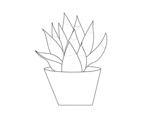 Aloe vera plant illustration black and white clipart