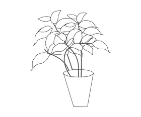 Houseplant black and white clipart