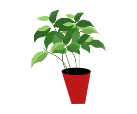 Houseplant clipart