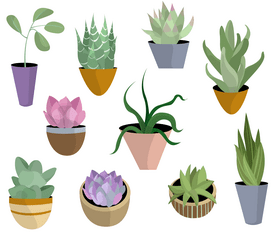 Free houseplants vector