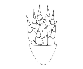 Aloe vera plant black and white clipart