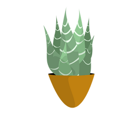 Aloe vera plant clipart