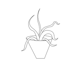 Aloe vera houseplant black and white clipart